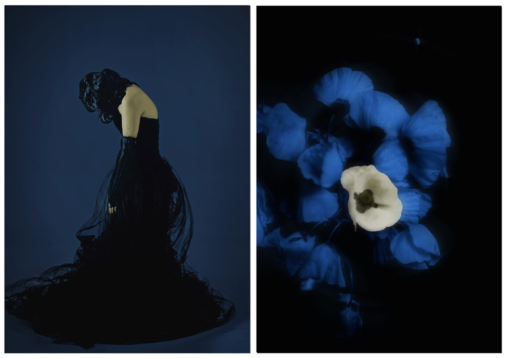 Indigo Eulogy